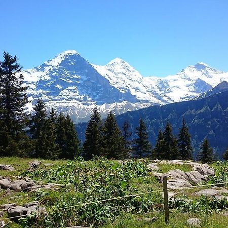Berghaus Hintisberg Lutschental Exterior photo